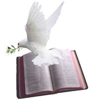 melindakirkley avatar