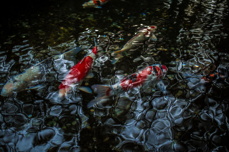 I Challenged Myself To Express Emotions With Landscape Photography