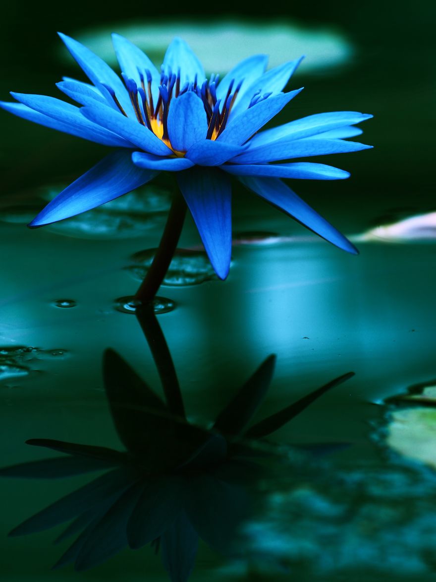 I Challenged Myself To Express Emotions With Landscape Photography I Challenged Myself To Express Emotions With Landscape Photography