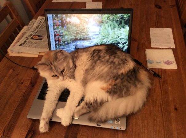 I Am Here!!! Play With Me..