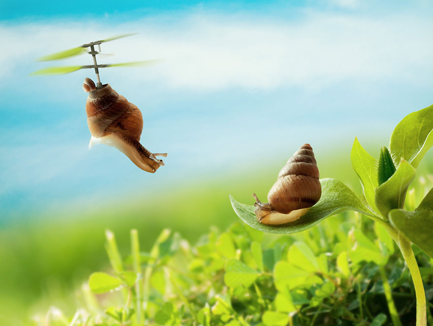 I Show The Real Wishes Of Everyday Objects I Show The Real Wishes Of Everyday Objects