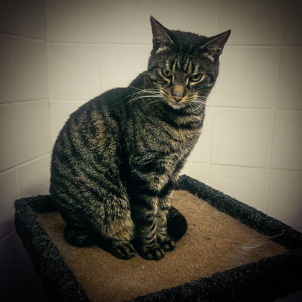 Felix, Destroyer Of Worlds.