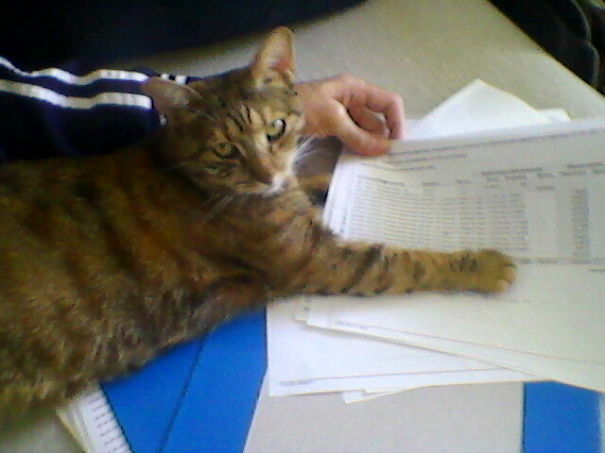 Wait , I Need To Inspect.....