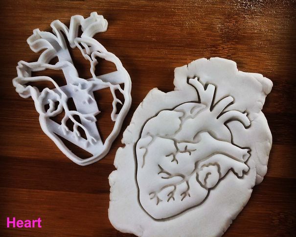 Anatomical Heart Cookie Cutter