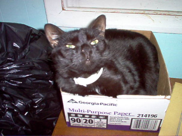 Try To Throw Me Away, Will You?