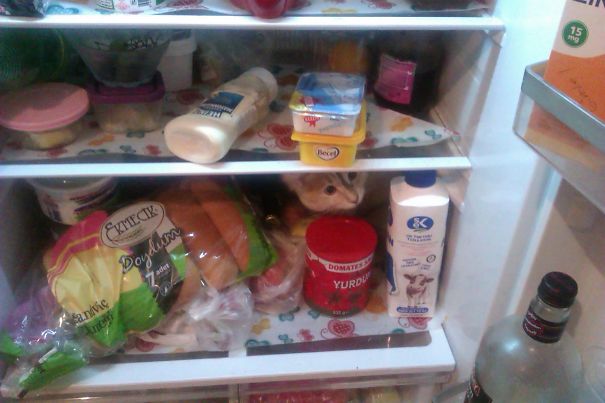 Well, It Was Quite Hot That Day.