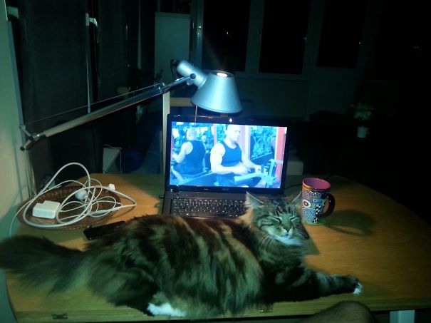 Bigger Than Computer