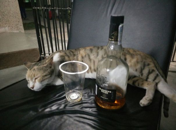 Too Drunk To Move :p