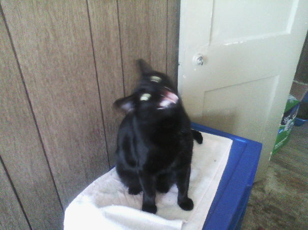 I'm Laughing At Mom In Curlers.