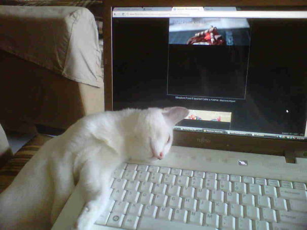 I Might As Well Fall Asleep Here