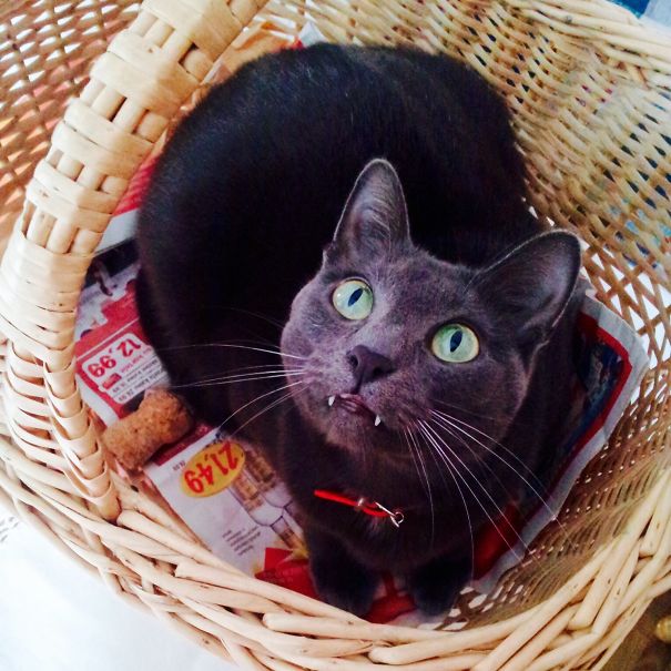 You're So Done Here!