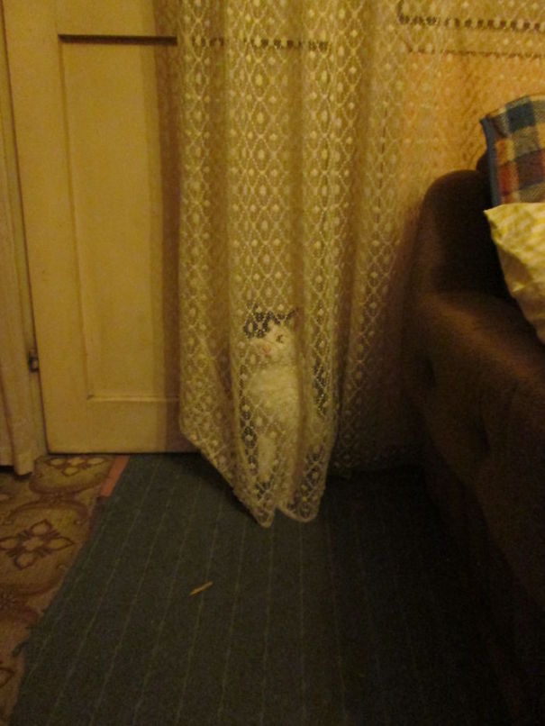 I Was Waiting For You Human.