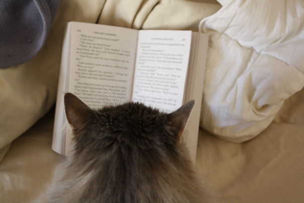 Just One More Chapter...