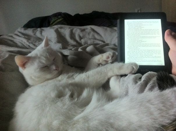 Reading Makes Me Sleepy....purrr