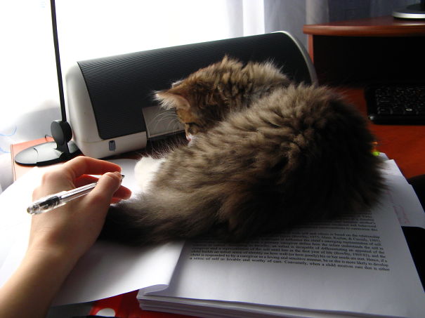 I Am More Interesting To Read