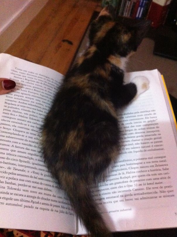 Are You Reading? Not Anymore :)