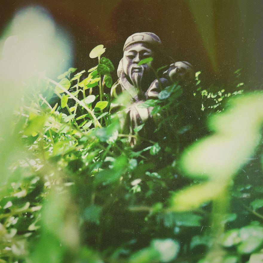 I Decided To Give Phone Photography A Try!