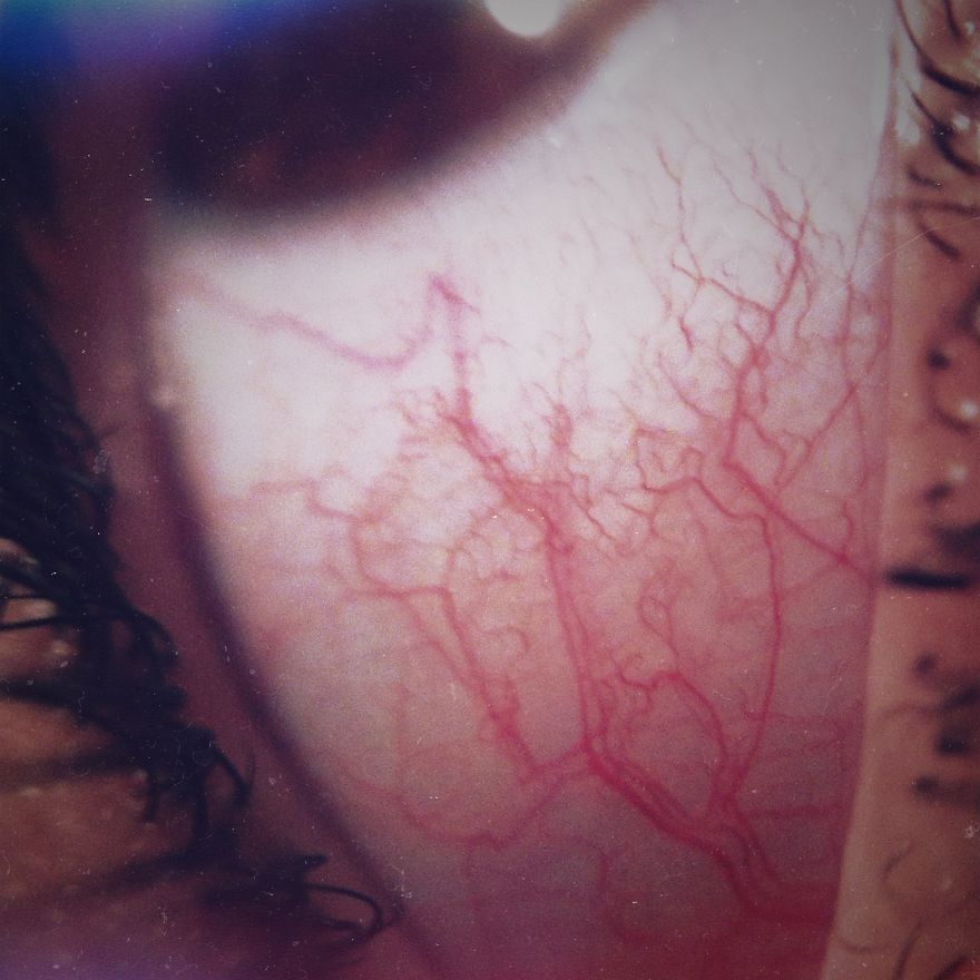 I Decided To Give Phone Photography A Try!