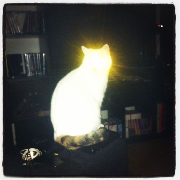 Eyes Going To Get You!