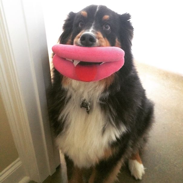 More Lips To Kiss You With!