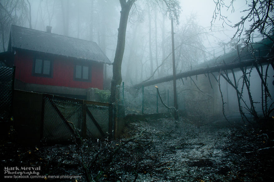 Frozen Apocalyptic Budapest After Ice Fog Frozen Apocalyptic Budapest After Ice Fog