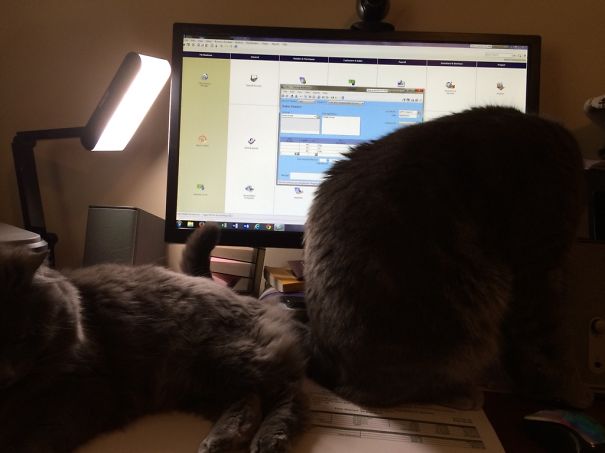 Oh Book Keeping Can Wait