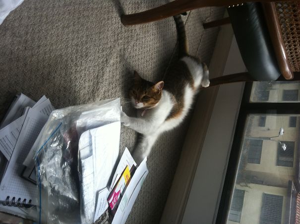 Let Me Help You Sort Out What Is Worth To Read... Actually Nothing Worth!