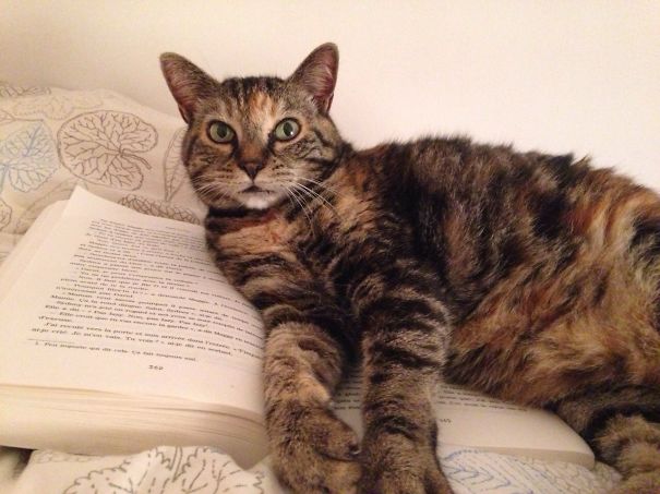 What? Why Are You Looking At Me?