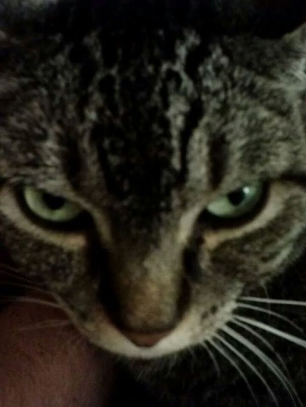 Awoke One Morning To This