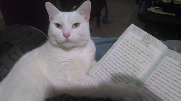 Dont Turn The Page Yet..i Not Finished!