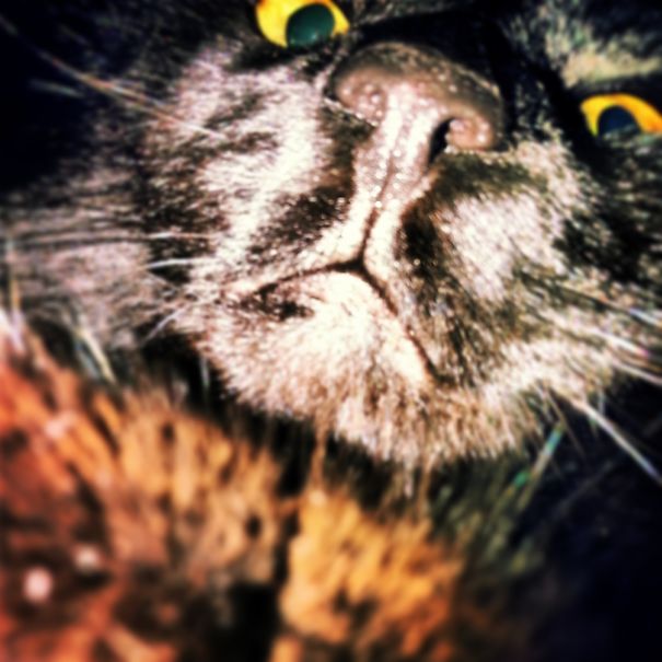 Be Afraid, Very Afraid!