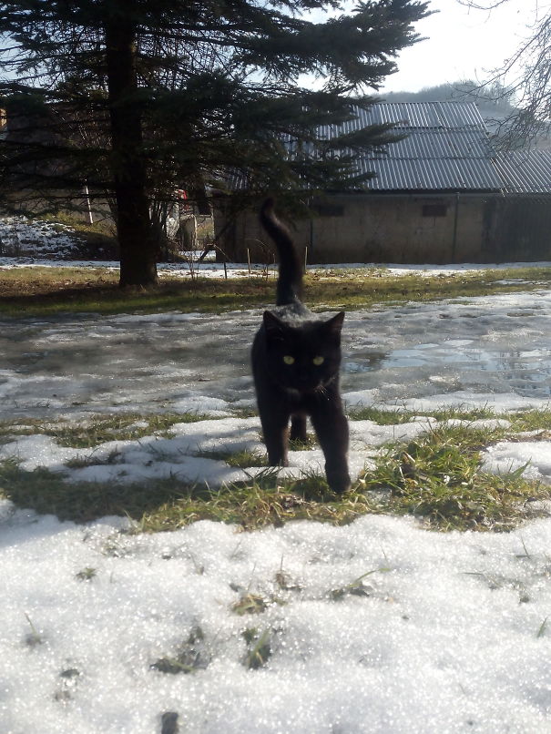 I Am Already Going After You