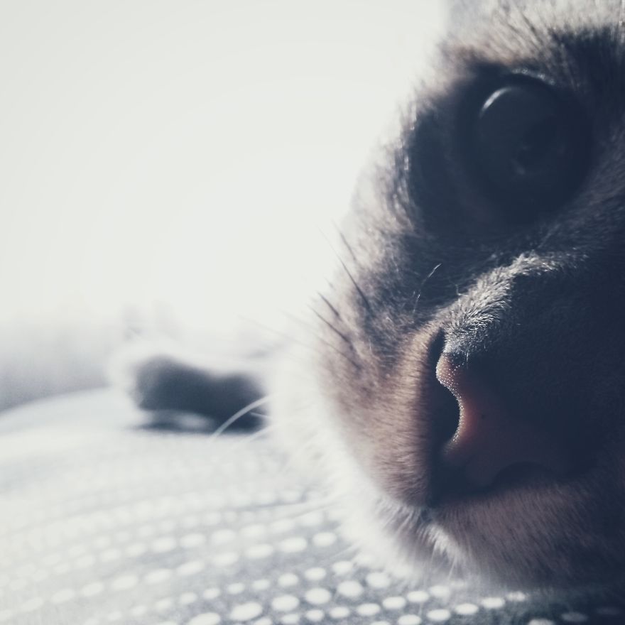 I Decided To Give Phone Photography A Try!