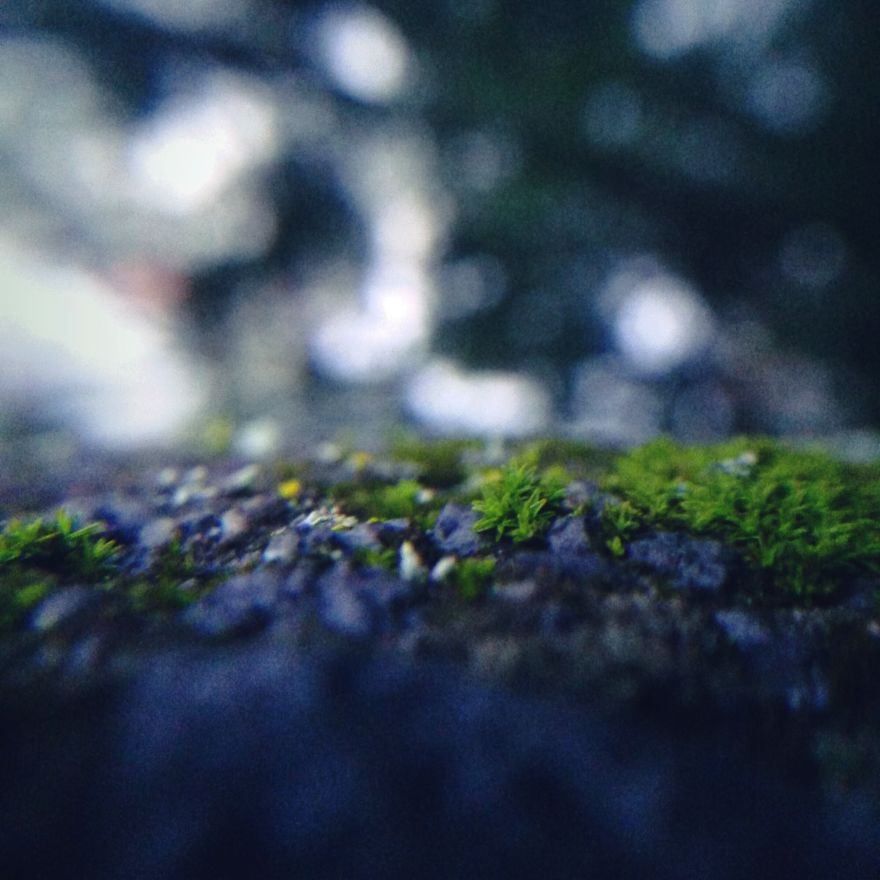 I Decided To Give Phone Photography A Try!