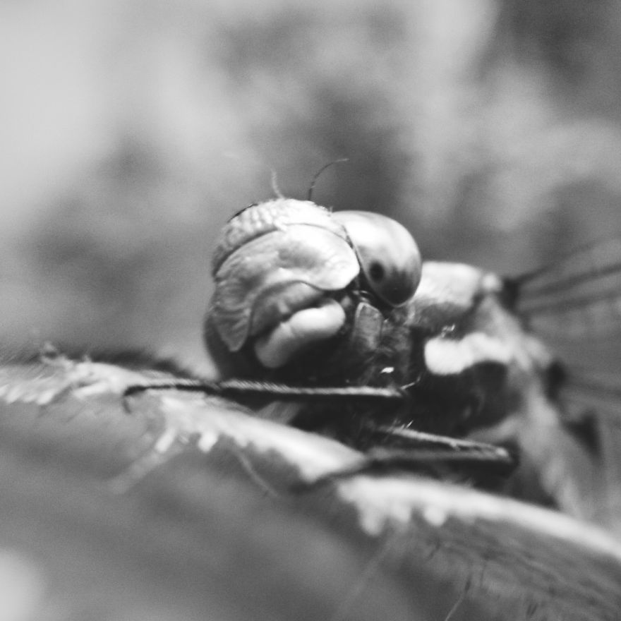 I Decided To Give Phone Photography A Try!