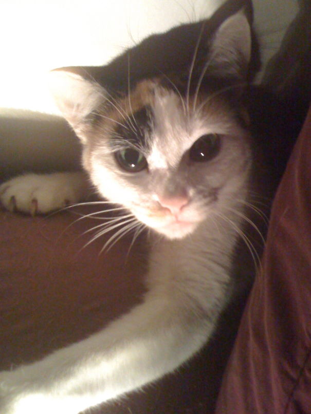 The Always Loving Margaret.