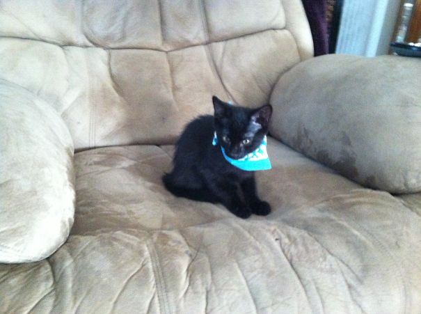 He May Look All Innocent, But....