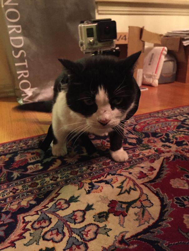 I Will Film You To Death....