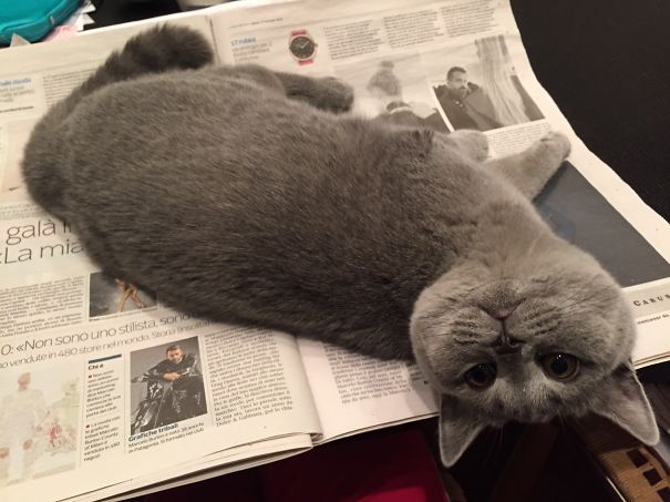 Hey, I Am Here Can You See Me?