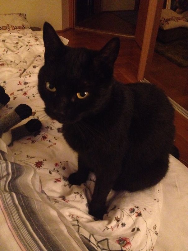 Done With The Donkey. You Are Next.