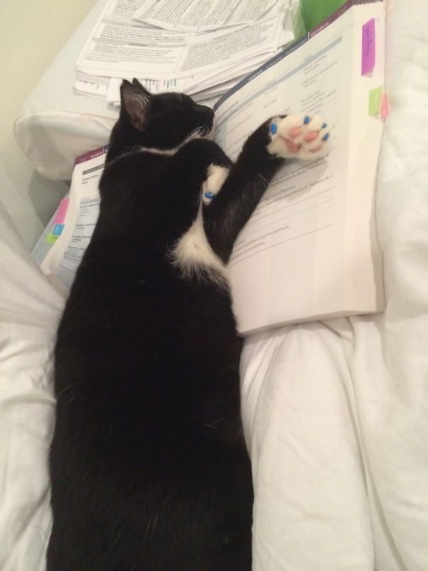 No More First Aid For You.