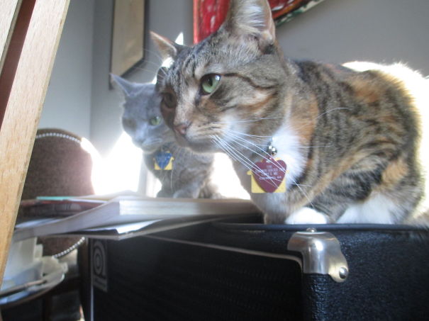 I Get Nervous When These Two Get Together.