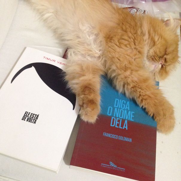 Don't Bother Choosing!