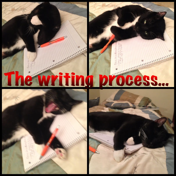 Step 1: Brainstorm; Step 2: Space Out; Step 3: Yawn; Step 4: Sleep