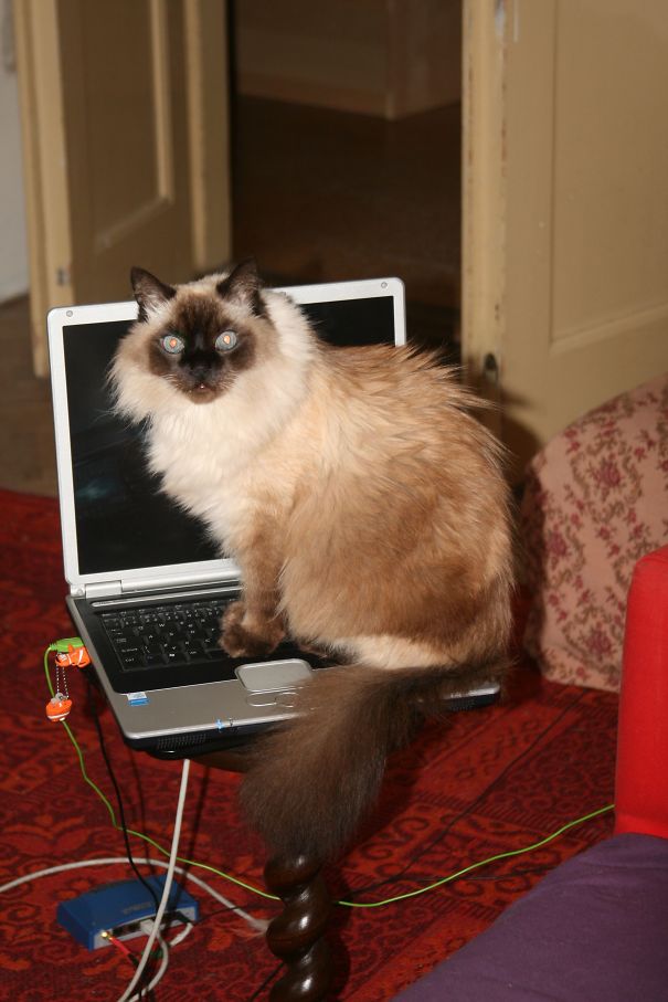 I'm Your Best Friend!