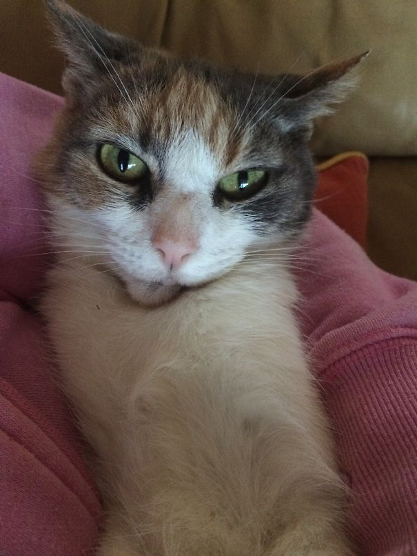 You Do Know That I Will Attack At Any Second Right?!