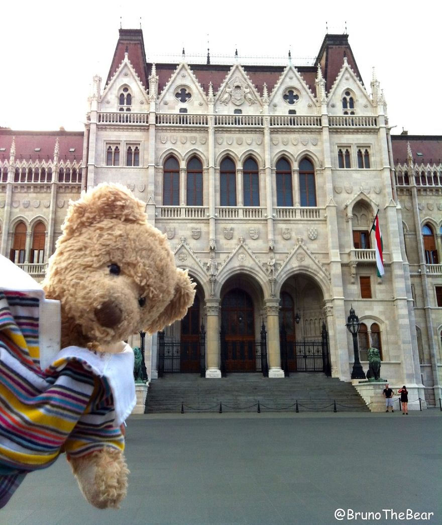 Everything Is Pawsibble: Pictures Of Bruno The Bear Travelling The World Everything Is Pawsibble: Pictures Of Bruno The Bear Travelling The World
