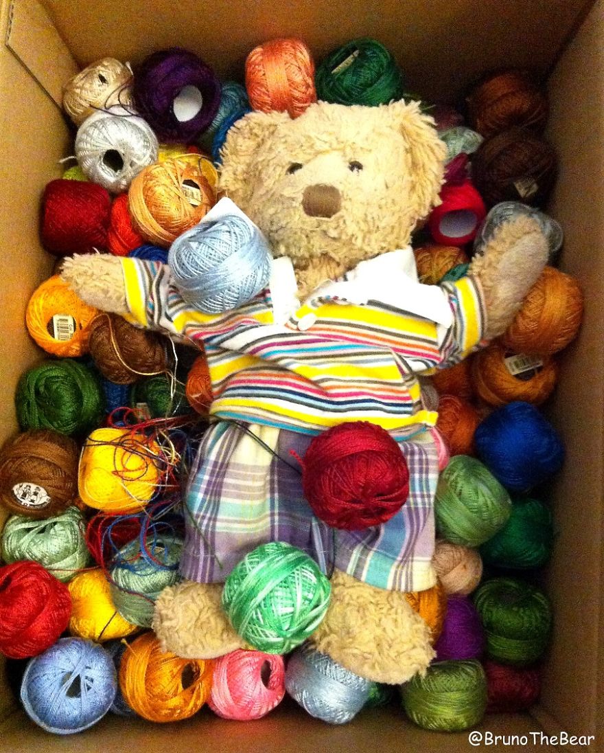 Everything Is Pawsibble: Pictures Of Bruno The Bear Travelling The World Everything Is Pawsibble: Pictures Of Bruno The Bear Travelling The World