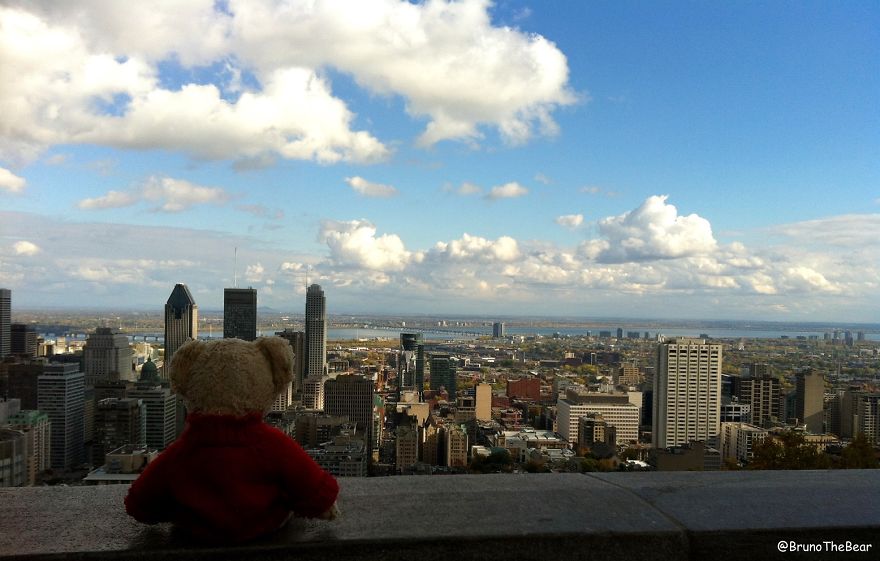 Everything Is Pawsibble: Pictures Of Bruno The Bear Travelling The World Everything Is Pawsibble: Pictures Of Bruno The Bear Travelling The World