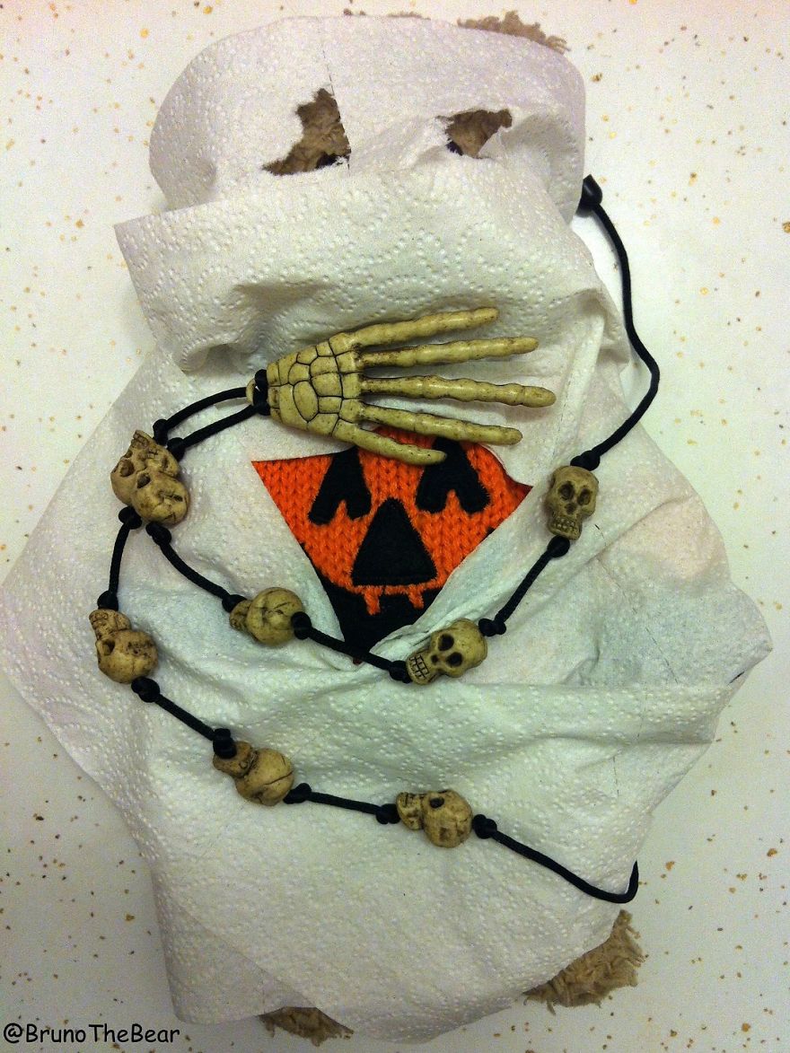 Everything Is Pawsibble: Pictures Of Bruno The Bear Travelling The World Everything Is Pawsibble: Pictures Of Bruno The Bear Travelling The World